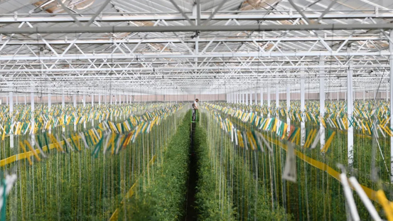 VB en Agro Care: samenwerking sinds 2013