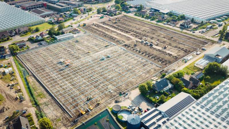 Pligt Professionals: kas in eigen Westland
